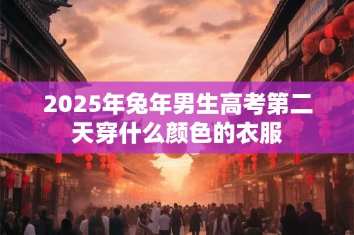 2025年兔年男生高考第二天穿什么颜色的衣服