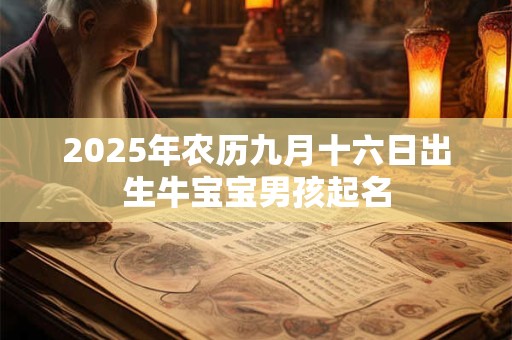 2026年农历九月十六日出生牛宝宝男孩起名