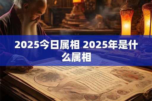 2025今日属相 2025年是什么属相