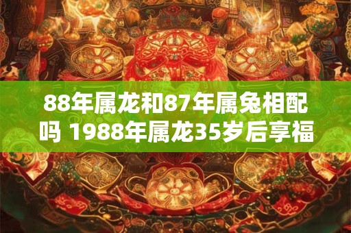 88年属龙和87年属兔相配吗 1988年属龙35岁后享福