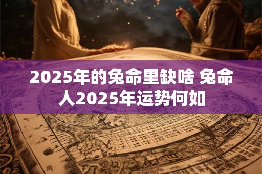 2025年的兔命里缺啥 兔命人2025年运势何如