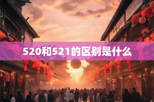 520和521的区别是什么