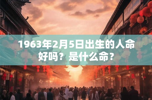 1963年2月5日出生的人命好吗？是什么命？
