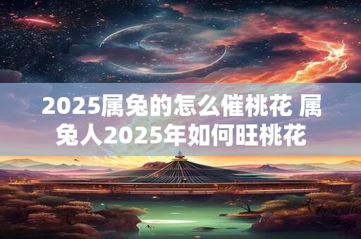 2025属兔的怎么催桃花 属兔人2025年如何旺桃花