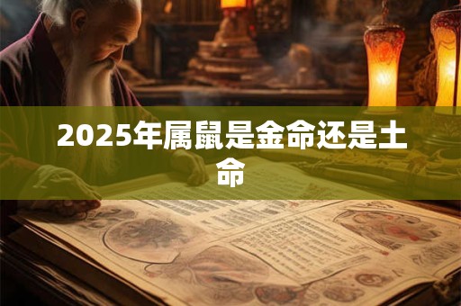 2025年属鼠是金命还是土命