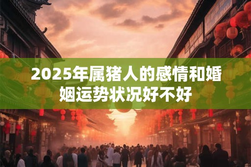 2025年属猪人的感情和婚姻运势状况好不好