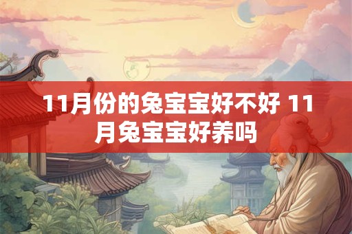 11月份的兔宝宝好不好 11月兔宝宝好养吗