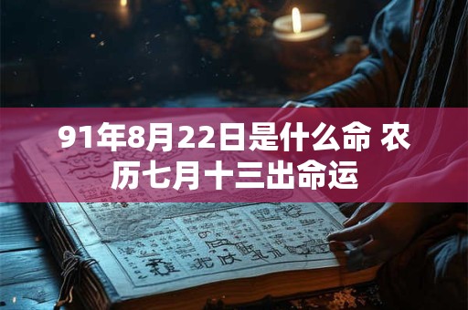 91年8月22日是什么命 农历七月十三出命运