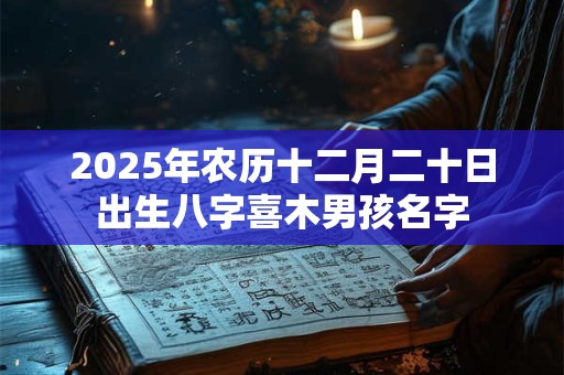 2025年农历十二月二十日出生八字喜木男孩名字
