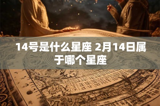 14号是什么星座 2月14日属于哪个星座