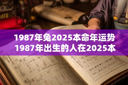 1987年兔2025本命年运势 1987年出生的人在2025本命年运势如何