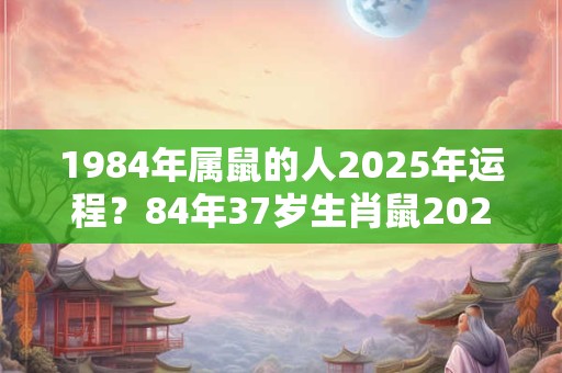 1984年属鼠的人2025年运程？84年37岁生肖鼠2025年运势