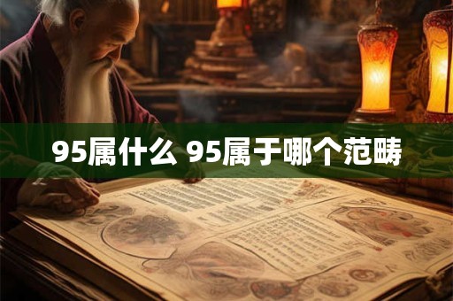 95属什么 95属于哪个范畴