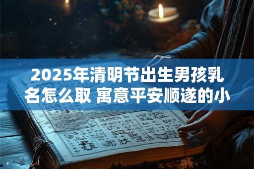 2025年清明节出生男孩乳名怎么取 寓意平安顺遂的小名推荐