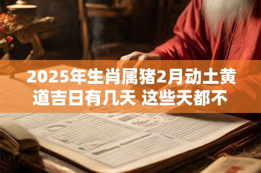2025年生肖属猪2月动土黄道吉日有几天 这些天都不错