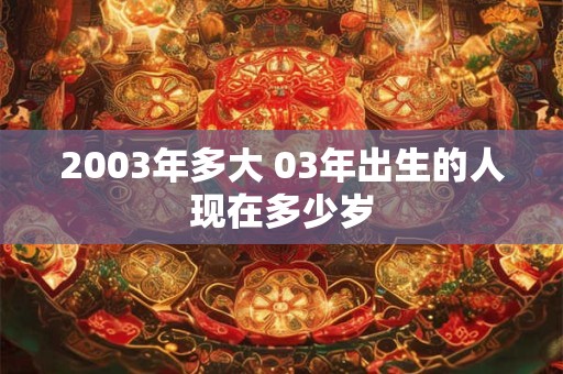 2003年多大 03年出生的人现在多少岁