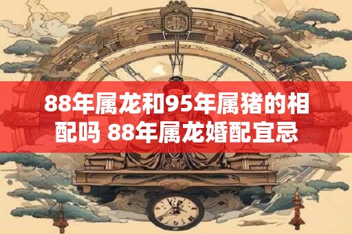 88年属龙和95年属猪的相配吗 88年属龙婚配宜忌