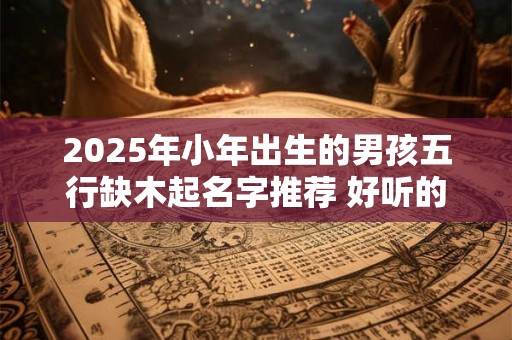 2025年小年出生的男孩五行缺木起名字推荐 好听的
