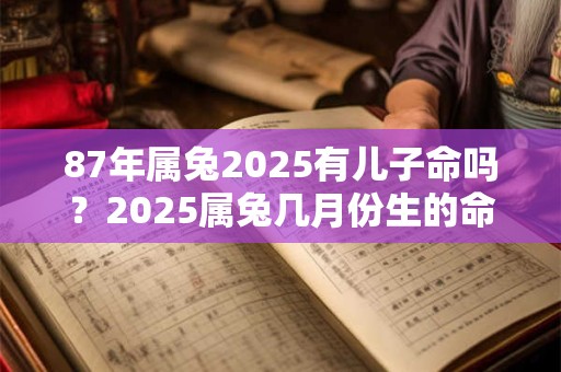 87年属兔2025有儿子命吗？2025属兔几月份生的命最好？