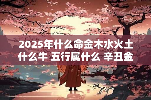 2025年什么命金木水火土什么牛 五行属什么 辛丑金牛 2025年什么命金木水火土什么牛 五行属什么 辛丑金牛