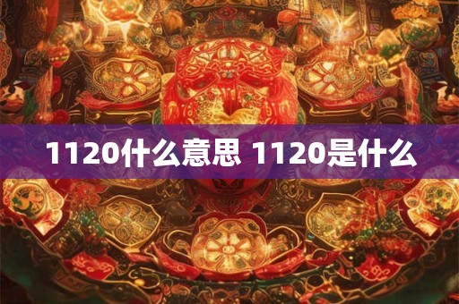 1120什么意思 1120是什么