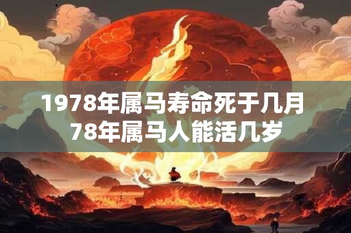 1978年属马寿命死于几月 78年属马人能活几岁