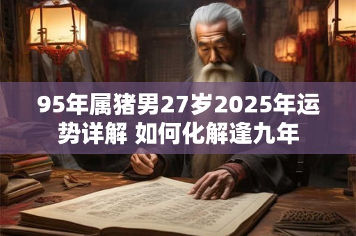 95年属猪男27岁2025年运势详解 如何化解逢九年