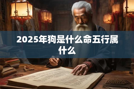 2025年狗是什么命五行属什么 2025年狗是什么命五行属什么