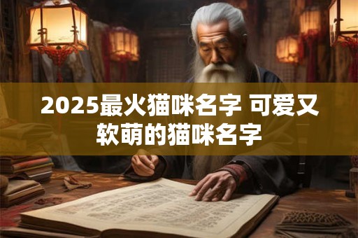 2025最火猫咪名字 可爱又软萌的猫咪名字