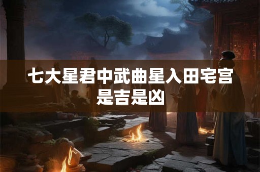 七大星君中武曲星入田宅宫是吉是凶