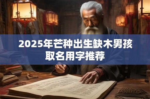 2025年芒种出生缺木男孩取名用字推荐