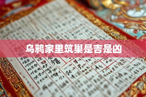 乌鸦家里筑巢是吉是凶 乌鸦家里筑巢是吉是凶