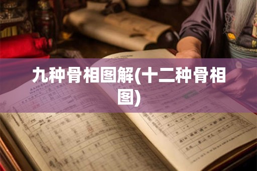 九种骨相图解(十二种骨相图) 九种骨相图解(十二种骨相图)