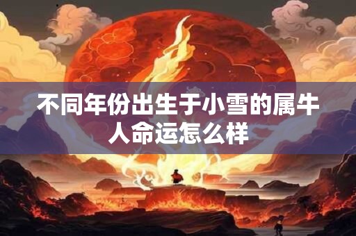 不同年份出生于小雪的属牛人命运怎么样