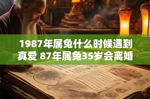 1987年属兔什么时候遇到真爱 87年属兔35岁会离婚吗