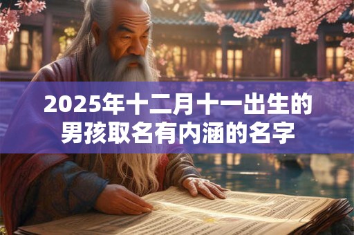 2026年十二月十一出生的男孩取名有内涵的名字