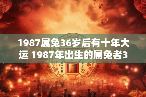 1987属兔36岁后有十年大运 1987年出生的属兔者36岁之后会有十年的大运吗