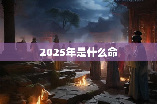 2025年是什么命 2025年是什么命