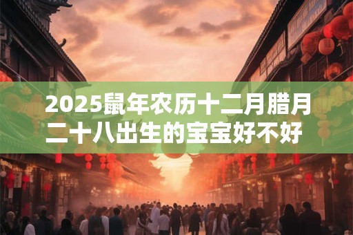 2025鼠年农历十二月腊月二十八出生的宝宝好不好 五行缺什么 2025鼠年农历十二月腊月二十八出生的宝宝好不好 五行缺什么