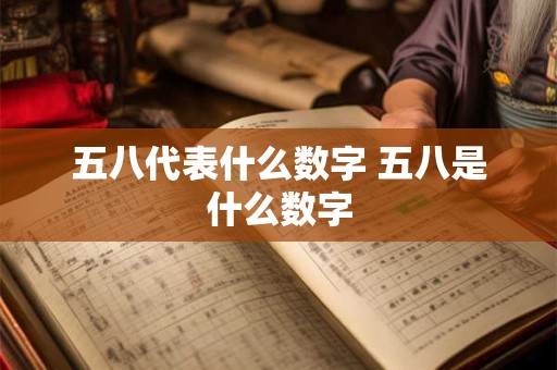 五八代表什么数字 五八是什么数字