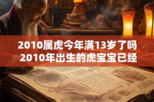 2010属虎今年满13岁了吗 2010年出生的虎宝宝已经13岁了吗