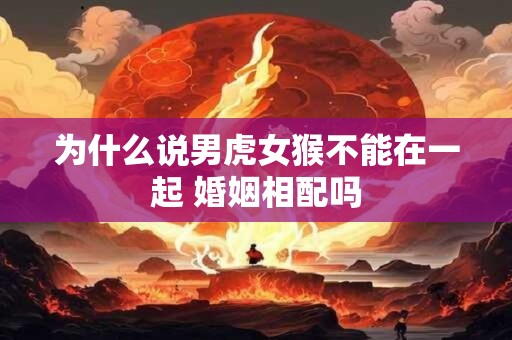 为什么说男虎女猴不能在一起 婚姻相配吗