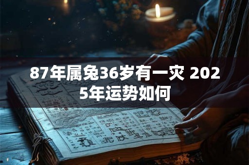 87年属兔36岁有一灾 2025年运势如何