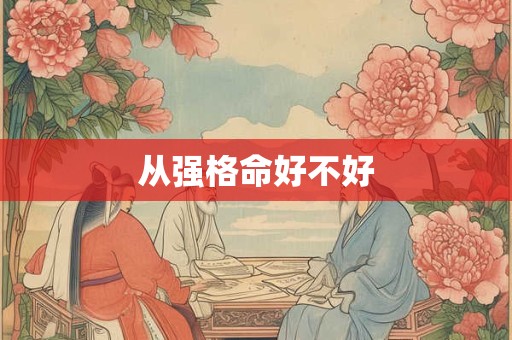 从强格命好不好