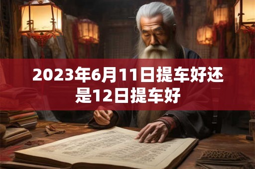 2023年6月11日提车好还是12日提车好