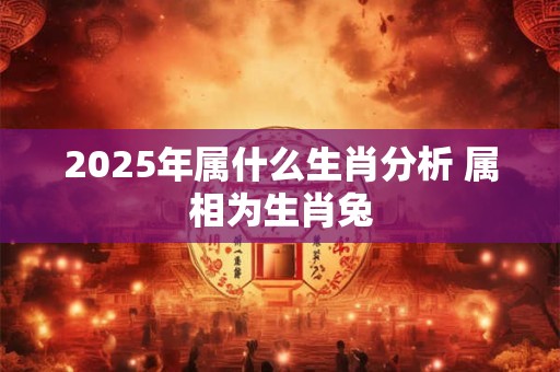 2025年属什么生肖分析 属相为生肖兔