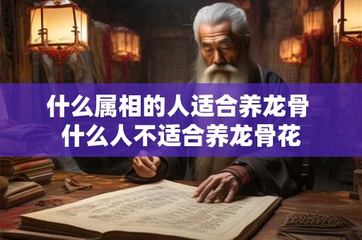 什么属相的人适合养龙骨 什么人不适合养龙骨花