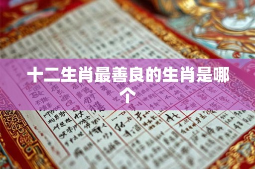 十二生肖最善良的生肖是哪个