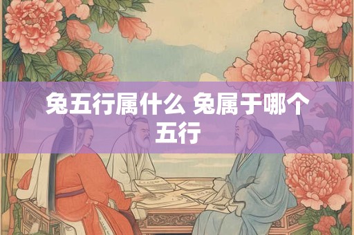 兔五行属什么 兔属于哪个五行