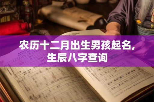 农历十二月出生男孩起名,生辰八字查询 农历十二月出生男孩起名,生辰八字查询